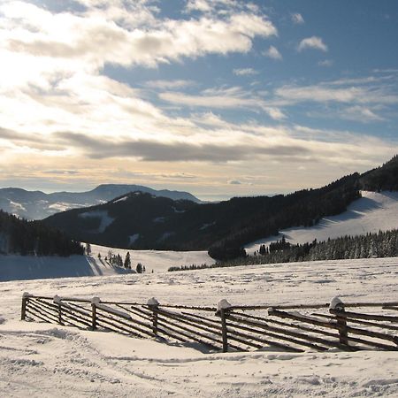 Heidi'S Schlummerkiste Am Fuss Der Teichalm Breitenau am Hochlantsch Экстерьер фото