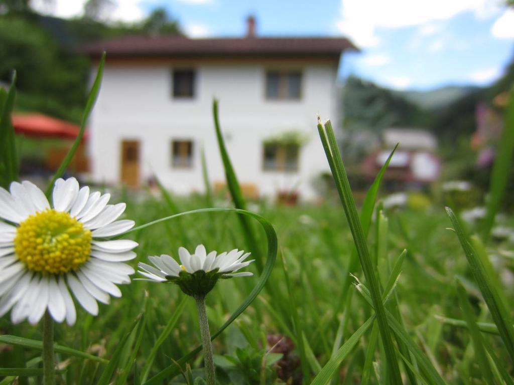 Heidi'S Schlummerkiste Am Fuss Der Teichalm Breitenau am Hochlantsch Экстерьер фото