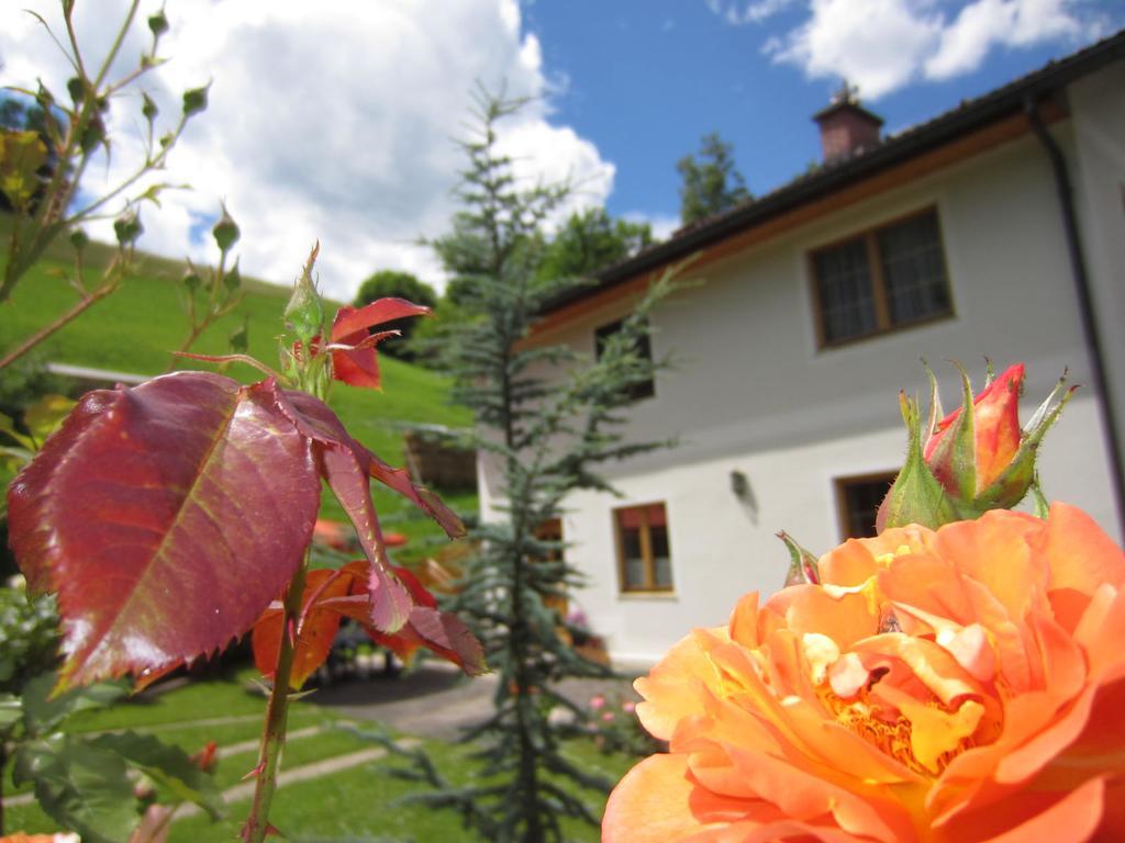 Heidi'S Schlummerkiste Am Fuss Der Teichalm Breitenau am Hochlantsch Экстерьер фото