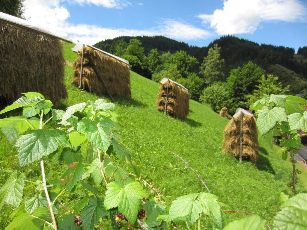 Heidi'S Schlummerkiste Am Fuss Der Teichalm Breitenau am Hochlantsch Экстерьер фото