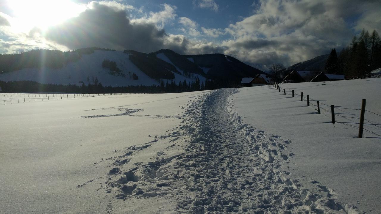 Heidi'S Schlummerkiste Am Fuss Der Teichalm Breitenau am Hochlantsch Экстерьер фото